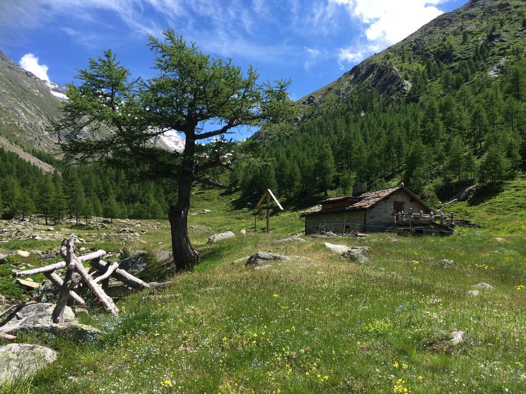 Chalet Sunstar Saas-Grund Exteriér fotografie